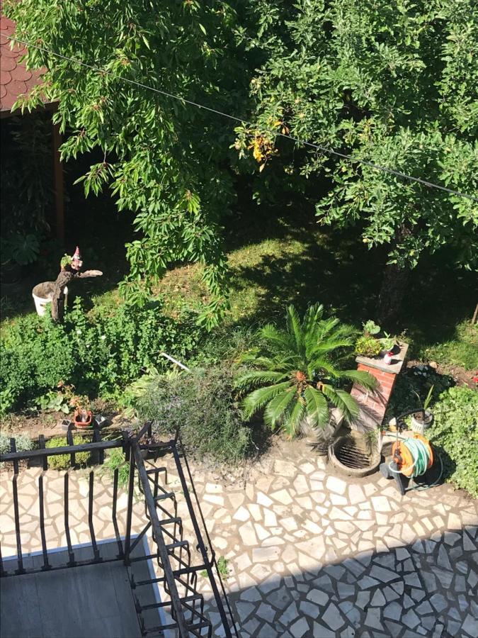 Apartmán Broj Jedan Soko Banja Exteriér fotografie
